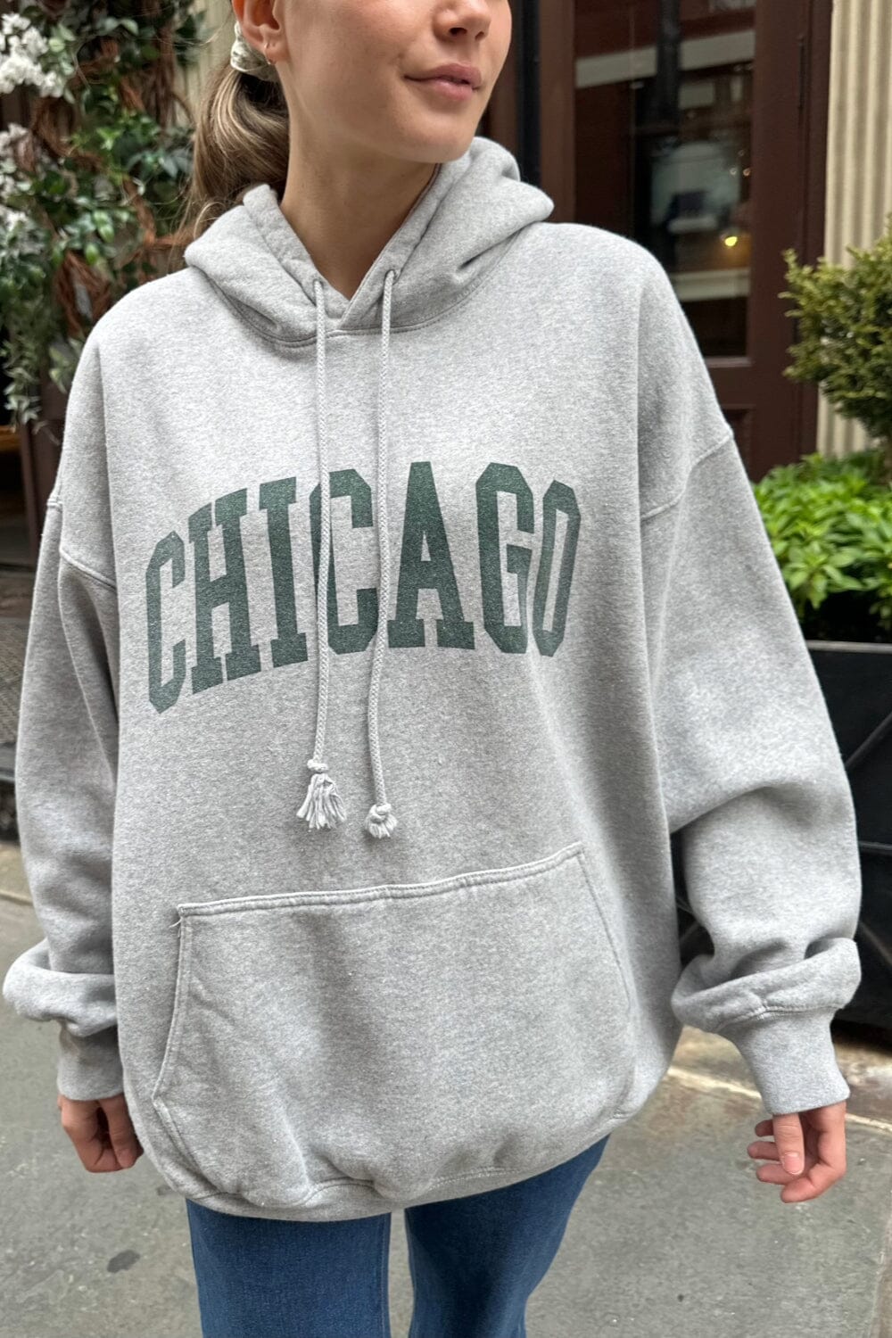 Classic Chicago Embroidered Hoodie