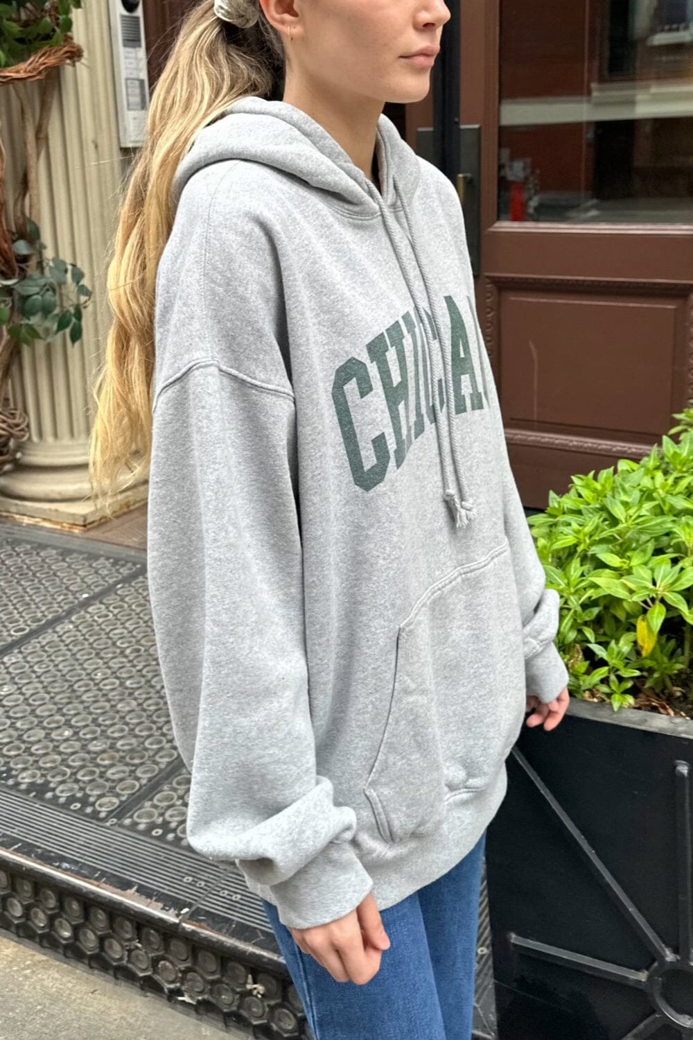 Classic Chicago Embroidered Hoodie