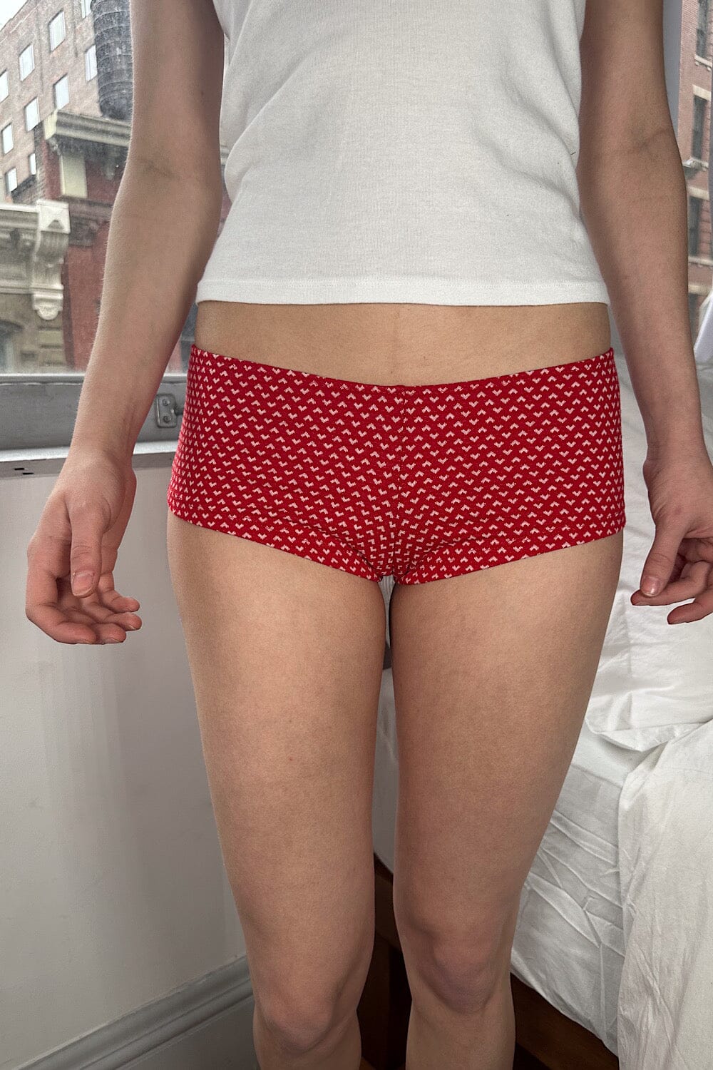 Hearts Brand Hipster Underwear for Women
