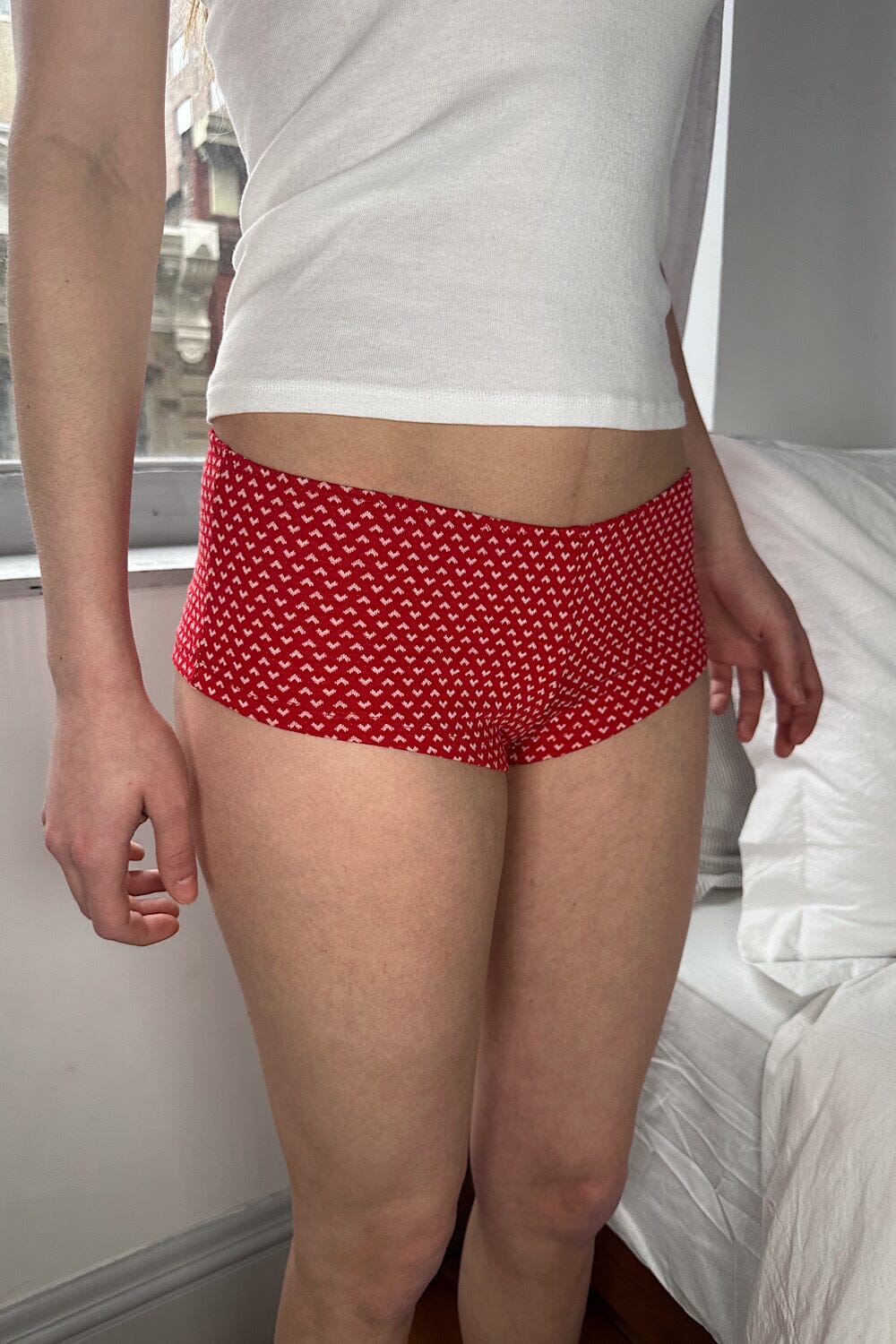 Hearts Brand Hipster Underwear for Women
